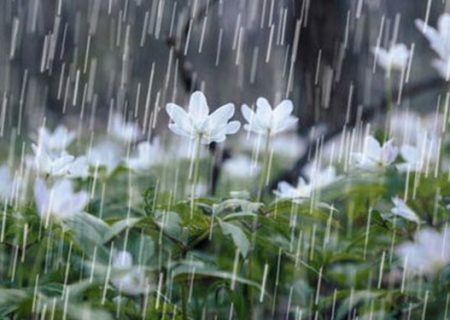 پیش‌بینی بارش‌های شدید در مناطق شمالی و شرقی خوزستان