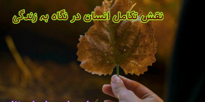 نقش تکاملی انسان در نگاه به زندگی