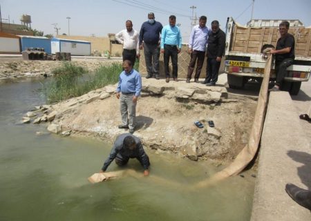 آغاز رها سازی ۱ میلیون و سیصد و پنجاه  هزار بچه ماهی در تالاب بین المللی شادگان
