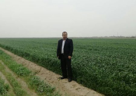 آغاز مبارزه با آفات نخیلات در شهرستان کارون