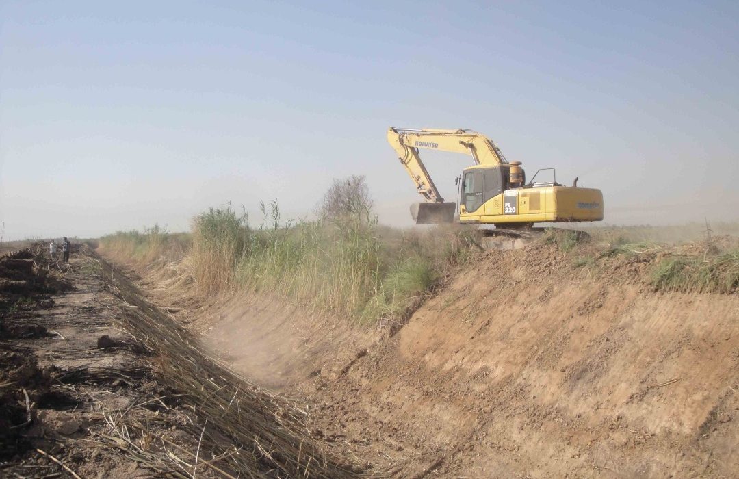 شروع کاشت برنج به روش خشکه کاری در شهرستان کارون
