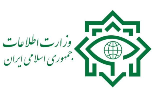 توضیحات مدیرکل ضدجاسوسی وزارت اطلاعات درخصوص دلایل آزادی نظامی آمریکایی