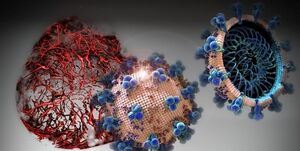 کرونا در بهبهان ؛ ۲۵ مبتلای تازه  ۳ مرگ جدید