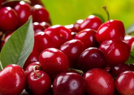 آلبالو را جایگزین استامینوفن کنید