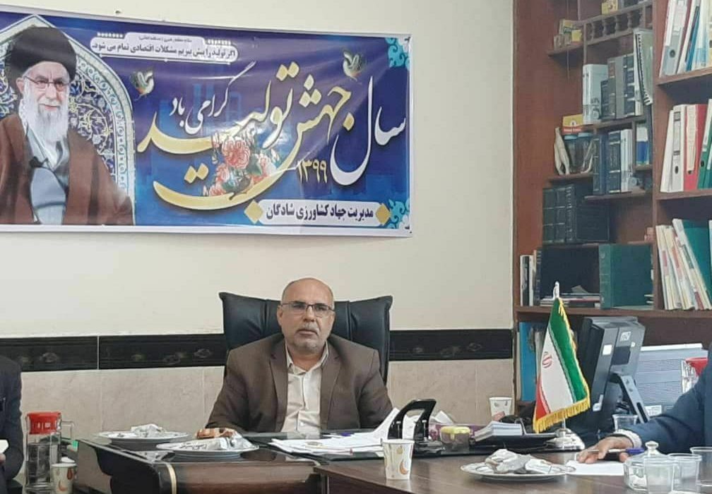 برداشت رطب در شادگان آغاز شد