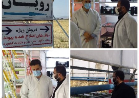 بازدید نماینده  آبادان  به منظور بررسی امکان تاسیس و راه اندازی شرکت کشت و تکثیر پاچوش نخل به صورت کشت بافت