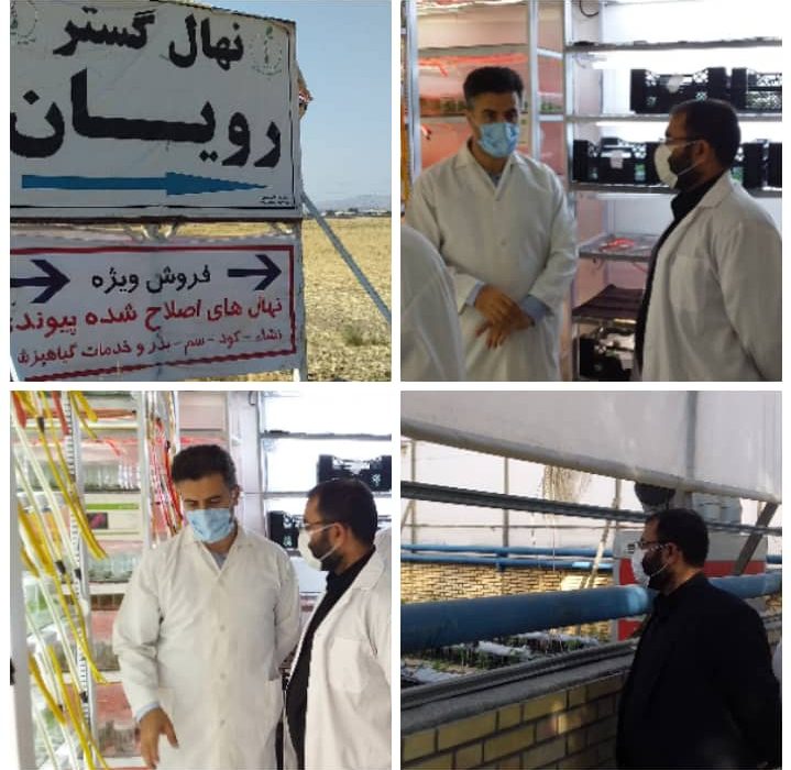 بازدید نماینده  آبادان  به منظور بررسی امکان تاسیس و راه اندازی شرکت کشت و تکثیر پاچوش نخل به صورت کشت بافت