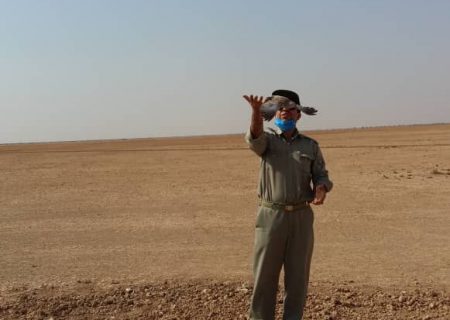 تخریب ۴باب کوخه توسط یگان حفاظت محیط زیست شهرستان هندیجان