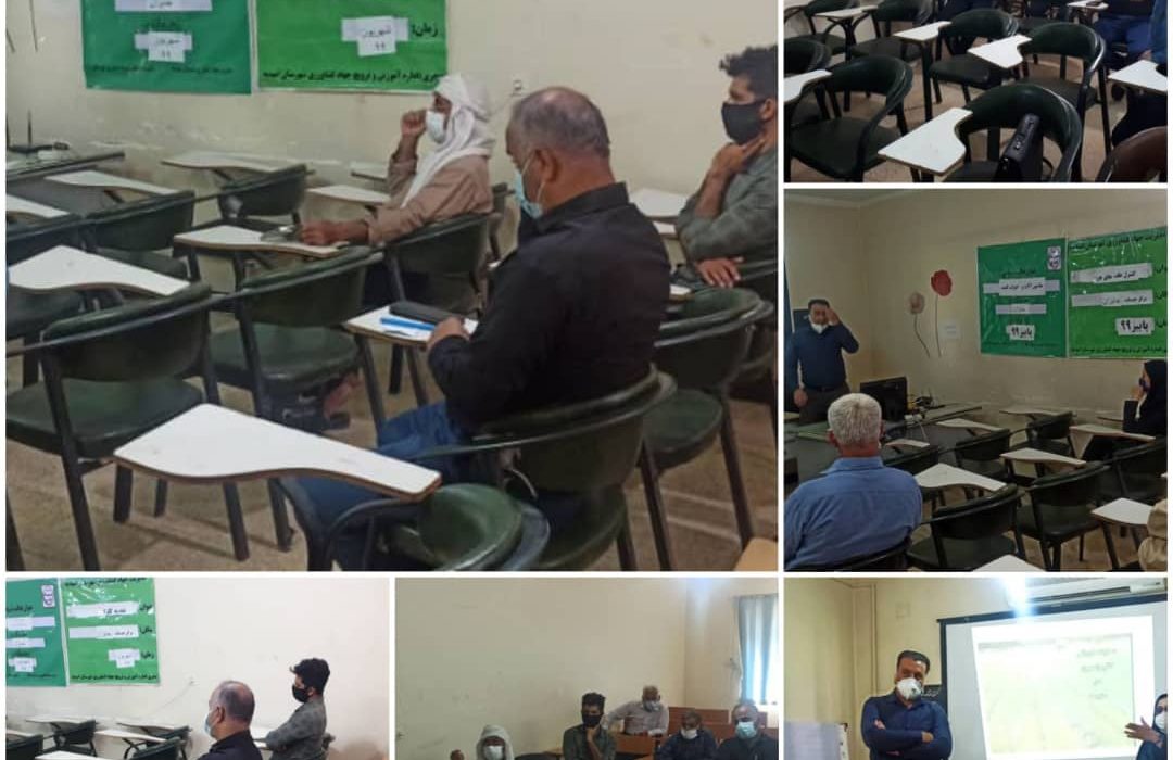 برگزاری جلسه ستاد فنی طرح ملی گندم بنیان و بررسی کشت های پاییزه در امیدیه