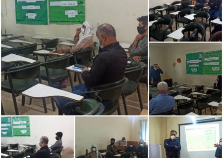 برگزاری جلسه ستاد فنی طرح ملی گندم بنیان و  بررسی کشت های پاییزه در امیدیه