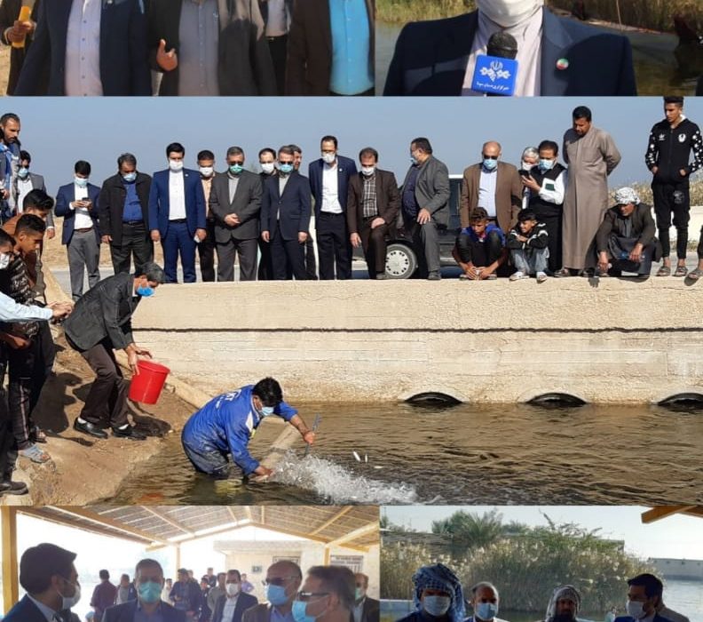 ۸۰ هزار قطعه بچه ماهی در تالاب شادگان رهاسازی شد