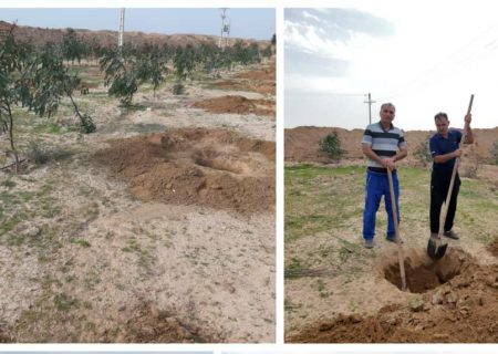 آماده سازی یادمان سردار شهید حسن باقری برای کاشت نهال نخل