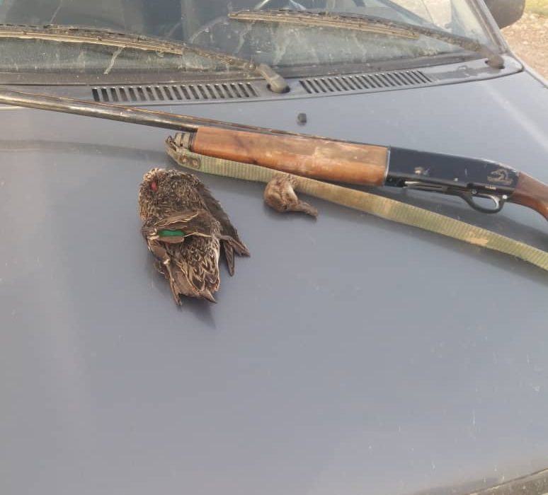 دستگیری شکارچی غیرمجاز در پارک ملی کرخه