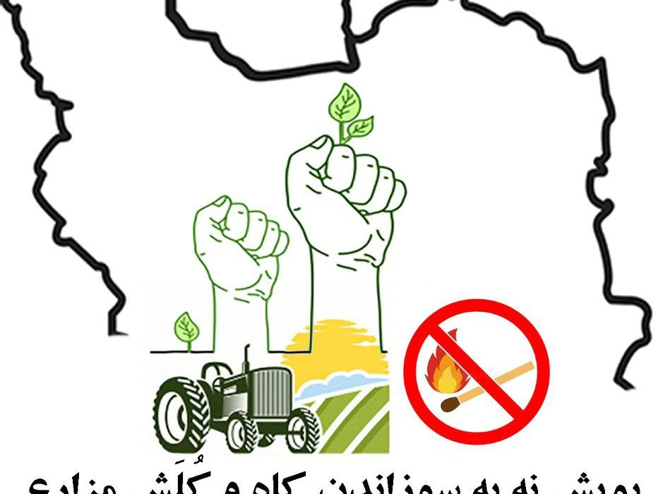 راه اندازی پویش “نه به سوزاندن کاه و کُلش مزارع ” اقدامی موثر در حفظ زیست شوش
