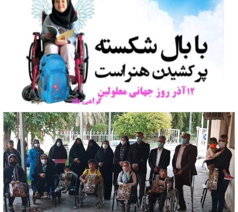 با بال شکسته پر کشیدن،هنر است