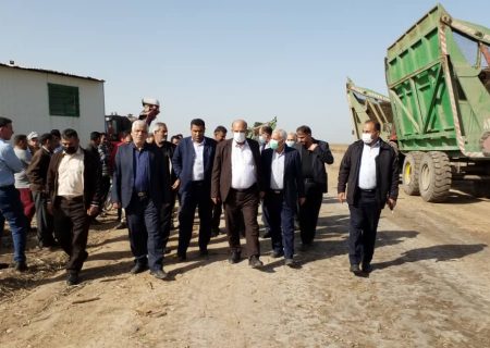 قدردانی دکتر ناصری از تلاشگران سنگر تولید برای گذر از خشکسالی بی‌سابقه