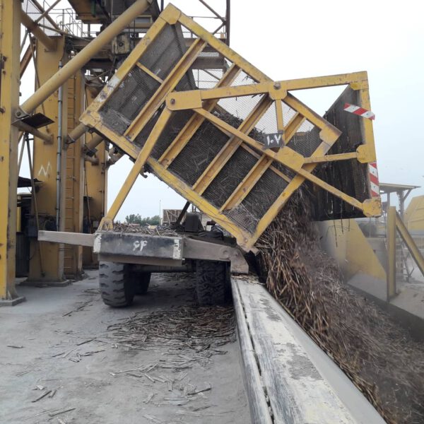 غلبه اراده مردان نیشکر بر تازیانه بی‌رحم بی‌‌آبی