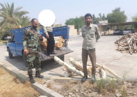 ۱۳ تن چوب قاچاق در شوش توقیف شد