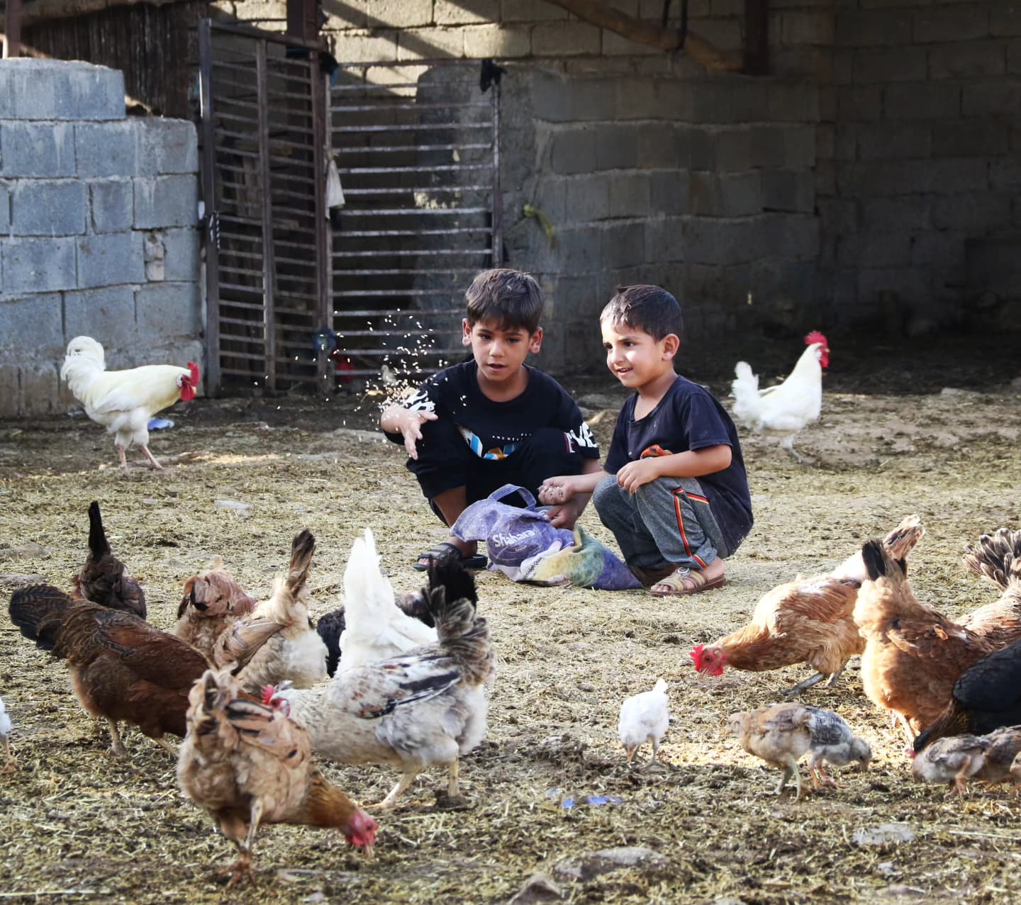 گزارش تصویری از زندگی روستایی در شهرستان شوش